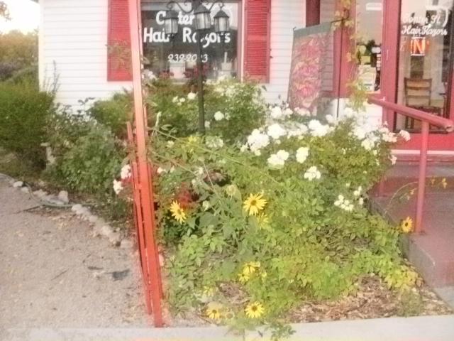 Center Street Cottage Pocatello Exterior photo